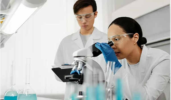 Skilled professionals and researchers qualifying for Thailand Long-Term Resident (LTR) Visa